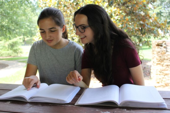 Emily Stanek and Katherine Shriner analyze wood preservation data. 