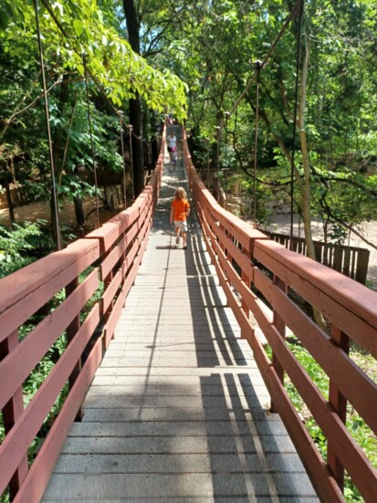 6-year-old Liam Davies gives Silver Dollar City's swinging bridge a try. 