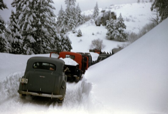 1949 Cars in line