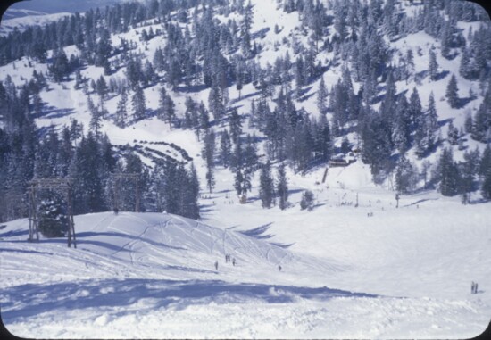 Downward View of Base