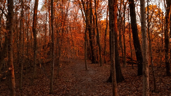 Weston Bend State Park. Photo by Katie Currid