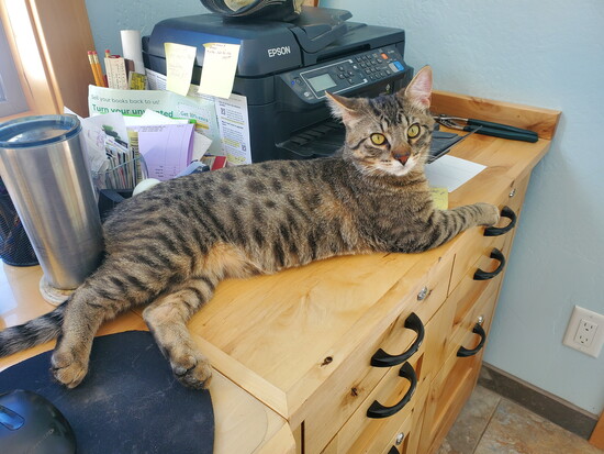 Mr. Sunrise relaxing