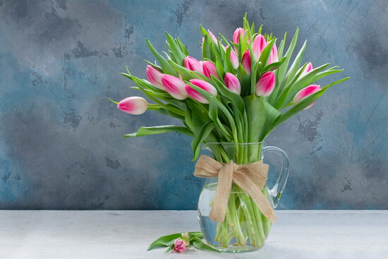A bouquet of tulips. 