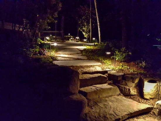 Lighting lights the pathways and trees along the back of the property. 