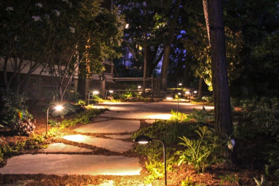 Lighting lights the pathways and trees along the back of the property. 