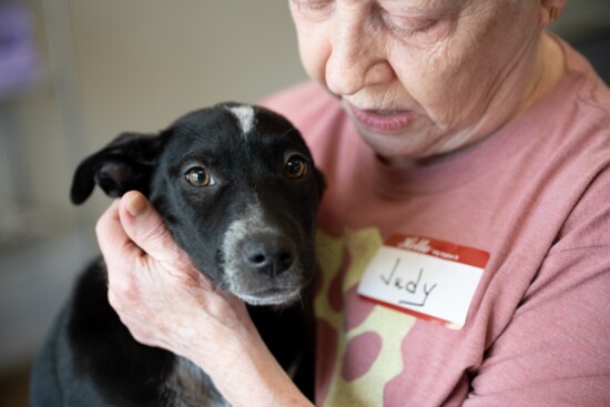 Volunteer Judy loves snuggling with the rescue dogs.
