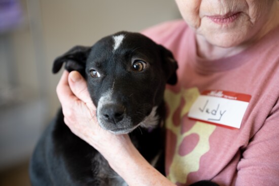 Volunteer Judy loves snuggling with the rescue dogs.