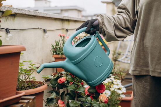 Reduce watering