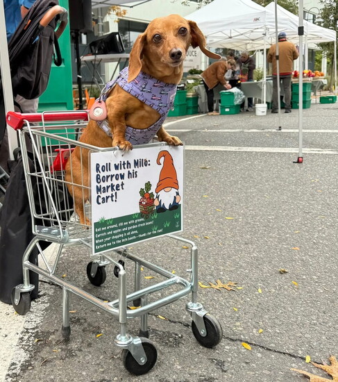 Pups are welcome too