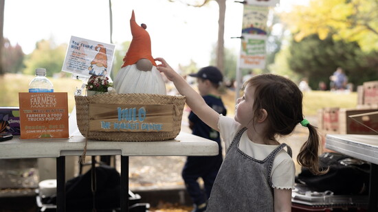 Milo the Market Gnome