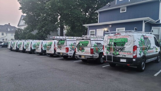 Bugging Out Termite & Pest Control Fleet