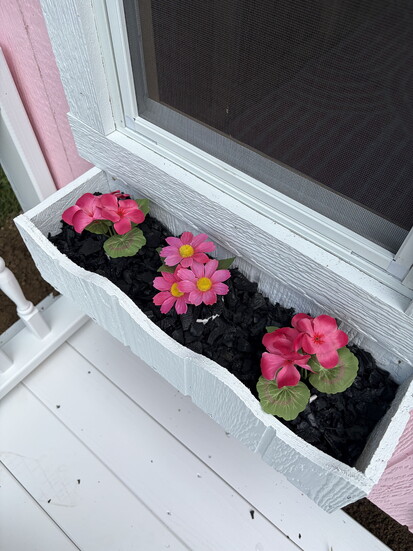 Photo 9 of 18