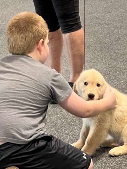 Boy engages in puppy play at the Golden PAWS Assistance Dogs, Inc. as part of the Animal-Assisted Therapy Program partnership