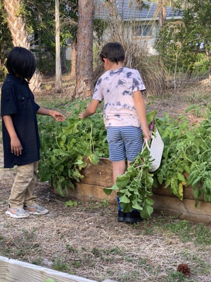 Two children tend to the gardens on Youth Haven's therapeutic campus as part of the Blue Zones Project - Southwest Florida partnership