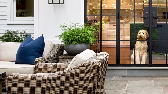 Photo Credit: Nancy Elizabeth Hill