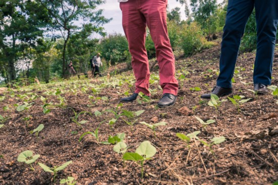 Fertile ground outside Huye, Rwanda