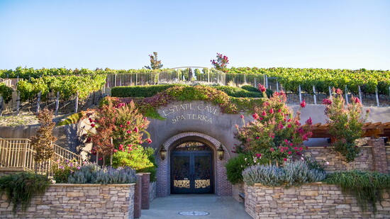 The Vineyard adorned spa doors await all who seek relaxation.