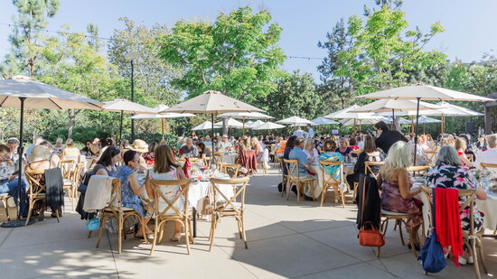 Featured image for Cancer Support Community Valley/Ventura/Santa Barbara