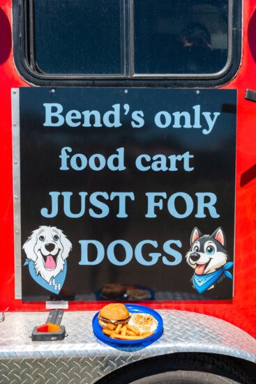 Hungry Hound is looking to expand their menu and offer merchandise and help create events for our dog-loving community. 