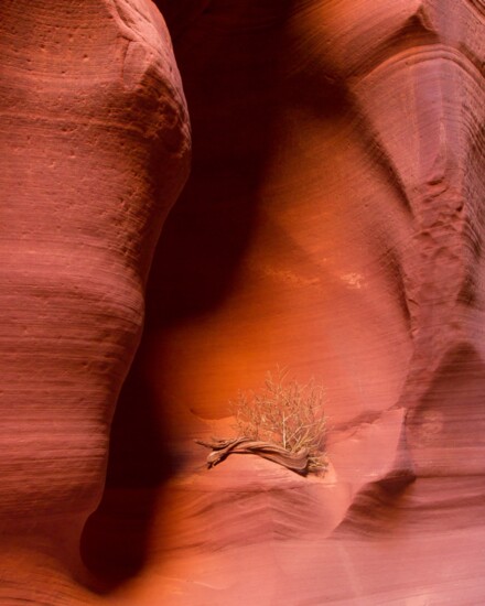 On a trip to Antelope Canyon, Dr. Scott Kasden shot a great picture of the landscape. 