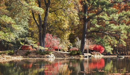 The colorful Japanese Garden at Maymont by Nia Negrette