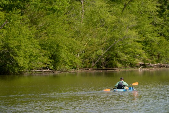 Kayaking r at Pocahontas State Park by Philip Andrews