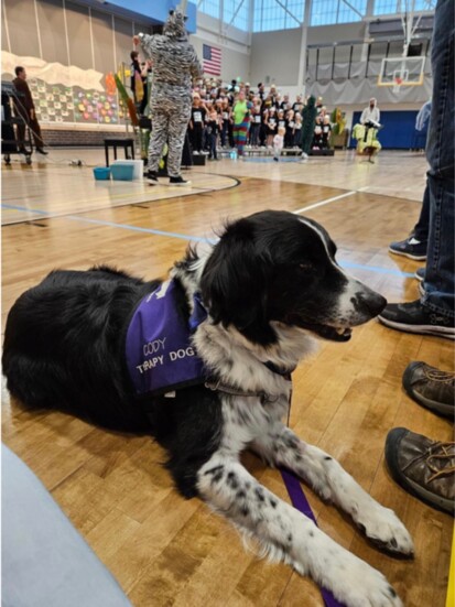 A happy Caring Canine therapy dog at an AAA meet and greet.