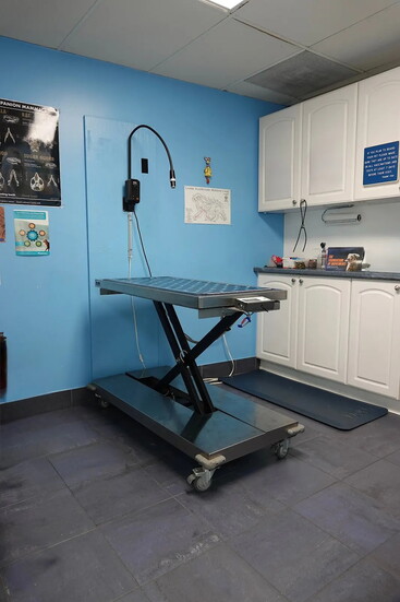 Best Friends' Veterinary Hospital exam room 