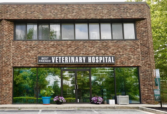 Best Friends' Veterinary Hospital