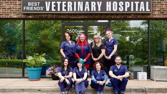 Best Friends' Veterinary Hospital Team 