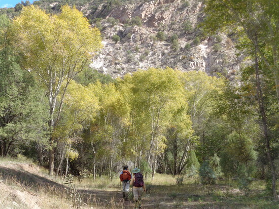 Members of the Aldo's Silver City Broadband in New Mexico do livestock monitoring work in Gila National Forest