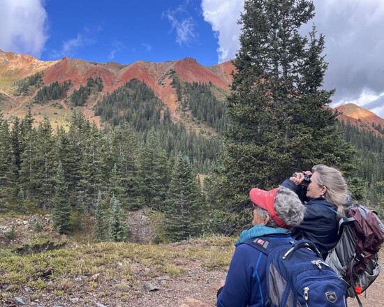 Members of the North San Juan Broadband in Colorado perform bighorn sheep monitoring work in the San Juan Mountains