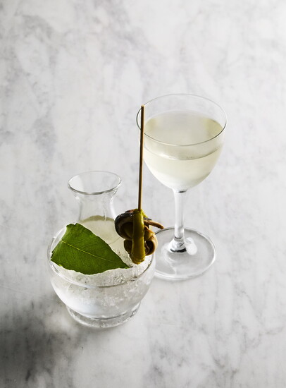 San Sebastian Martini at Rada in Charlotte 