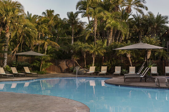 The pool