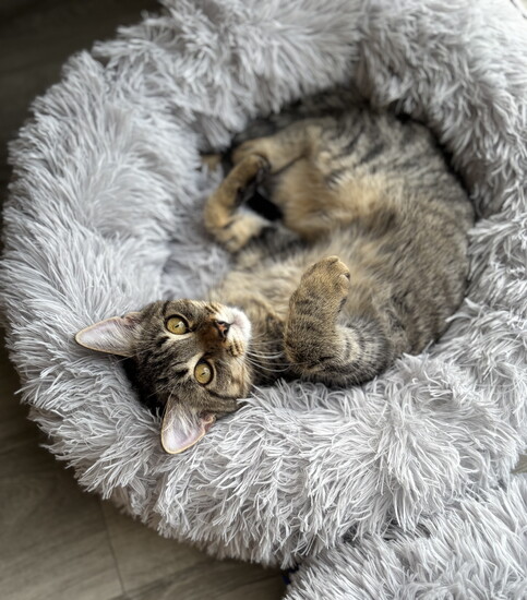 Relaxing at Catsbury