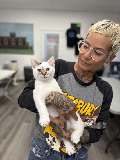 A Catsbury employee showing off a kitty