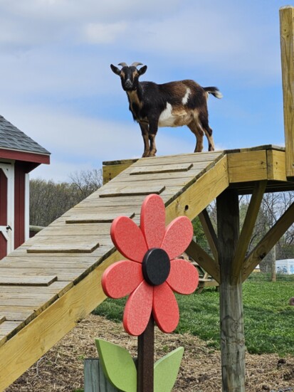 Hellerick's Family Farm