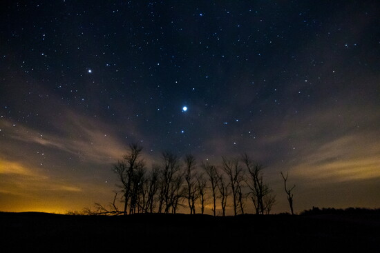 Starry night in Shenandoah National Park.