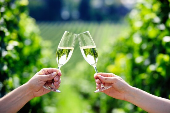 Toasting champagne at a vineyard.