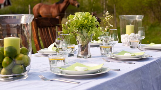 Tablescape for a spring dinner party.