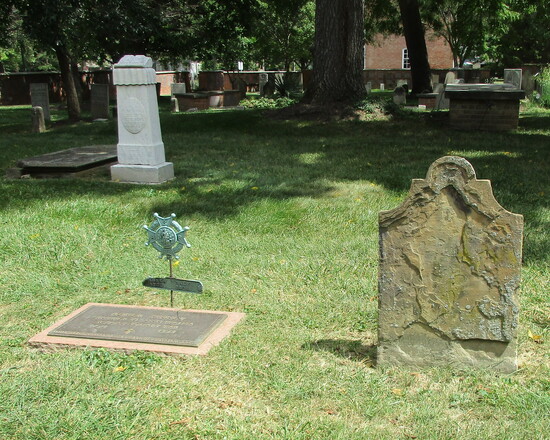 Photo by Ted Dziemianowicz