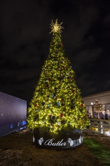 Butler Plaza Tree Lighting