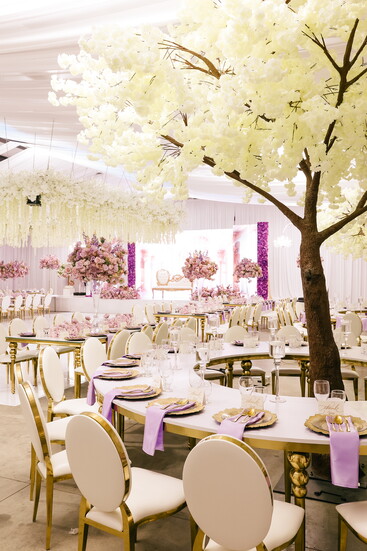 Photo by Viridiana Rodriguez