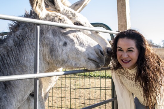 Donkey & Equine Haven  Photo: Holly Farrow