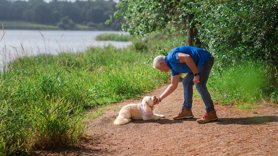 Millie and Bob show off basic training commands.