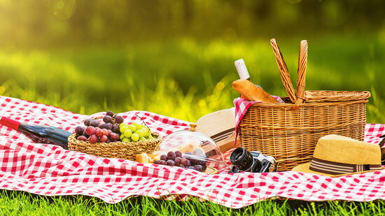 A picnic on the grass.