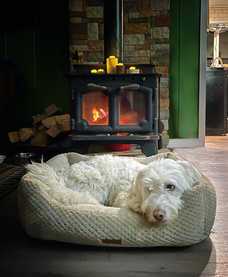 Bring your pup along and snuggle up by the wood burning fire stove.