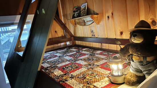 A peak into the magic that is Smokey Bear’s den.