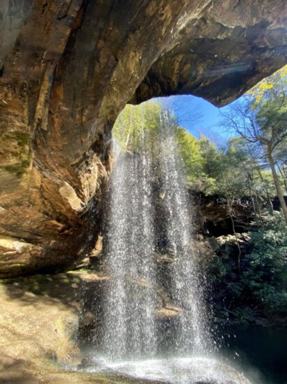 Colditz Cove is a 165-acre natural area located approximately two miles east of Allardt in Fentress County. Its most impressive feature is Northrup Falls. 