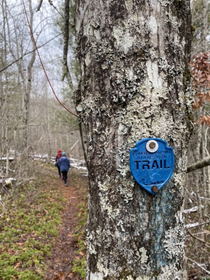 Take advantage of all the trails in the Upper Cumberland Region of Tennessee to hunt for waterfalls.